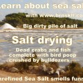 Learn about Unrefined Sea Salt with www.brnskll.com